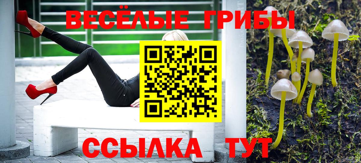 Галлюциногенные грибы Psilocybine cubensis  Вход с VPN  Тихвин 